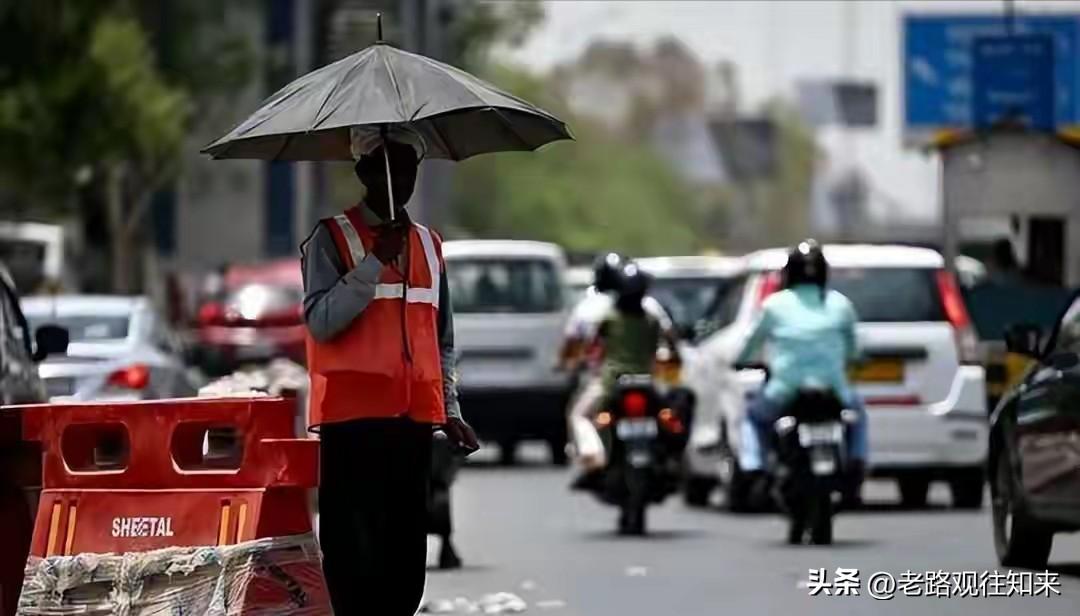 印度正在被烤熟！47.6℃高温下，5300只鸡活活热死，500人抢油混乱

20