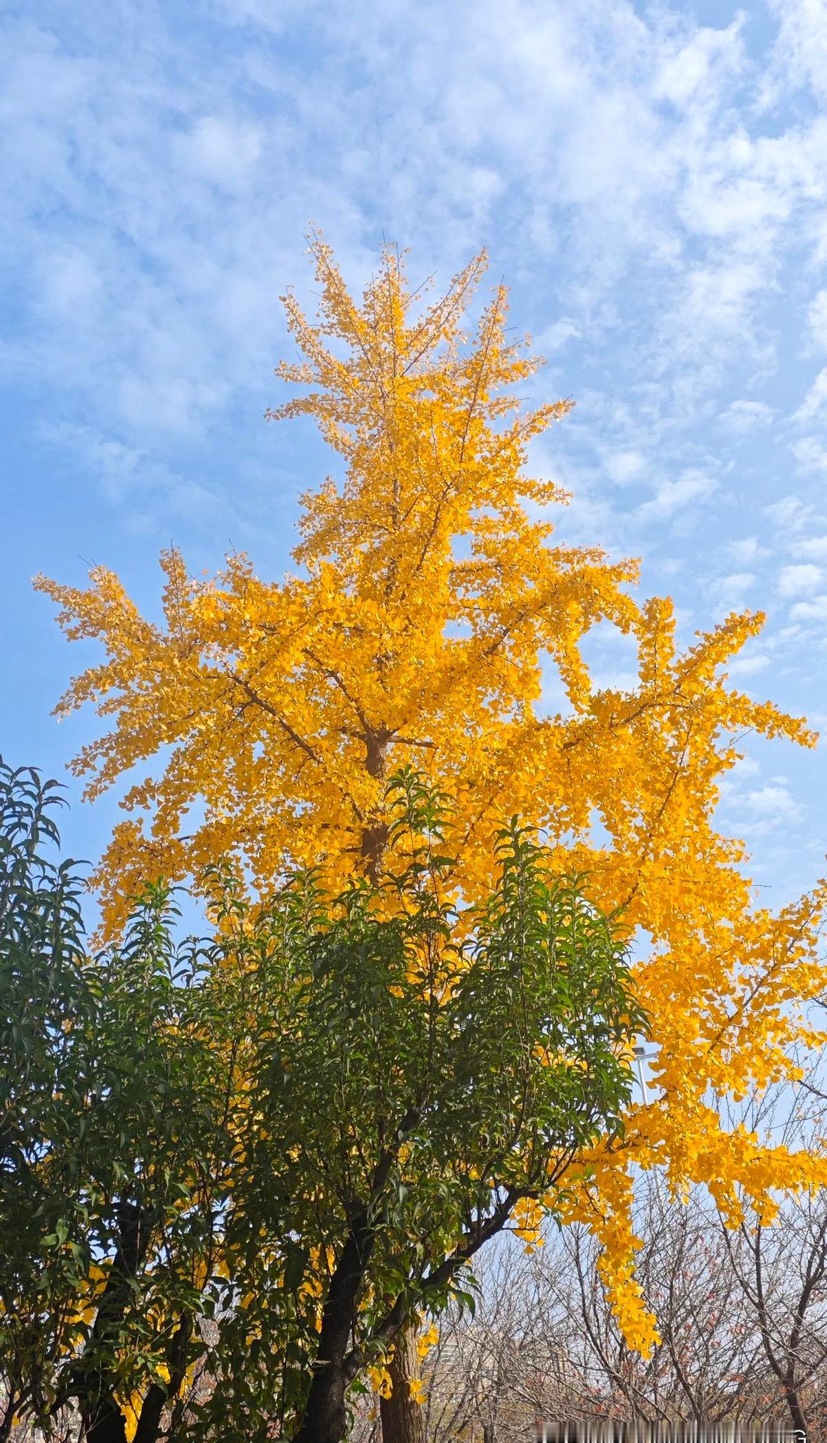 人活一世，图个健康长寿。
这事儿不是嘴上说说就行，得真干。
每天走路半小时，饭吃