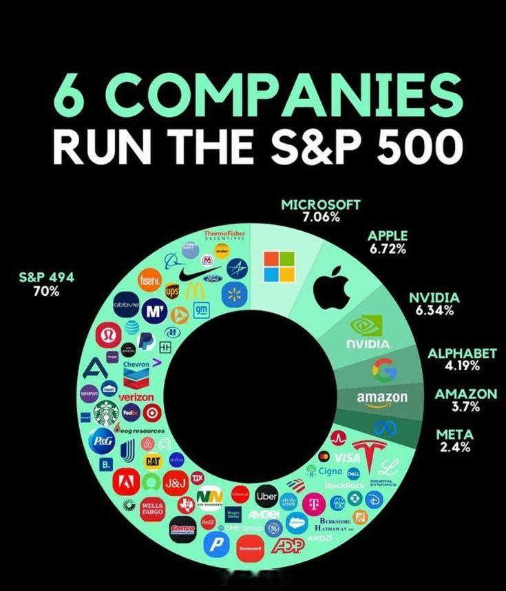 6家公司主导着;P 500指数数据可视化常涤非超话美股