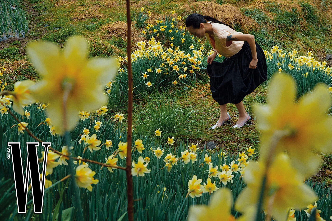 W Korea July 2026 🌼🍃 夏日雨后蔓延的黄色~ 