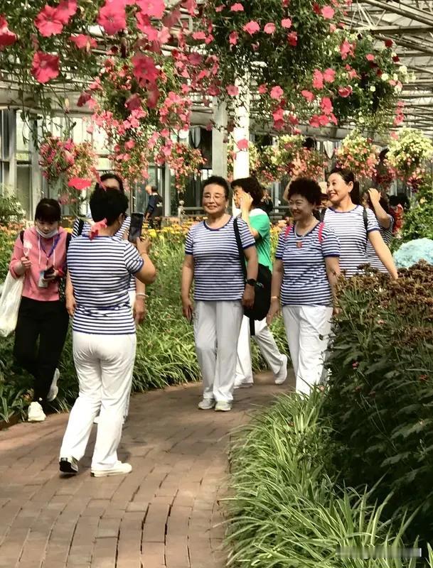 退休后的日子，宛如开启了新世界的大门。我有个朋友退休后钟情摄影，起初连光圈、快门