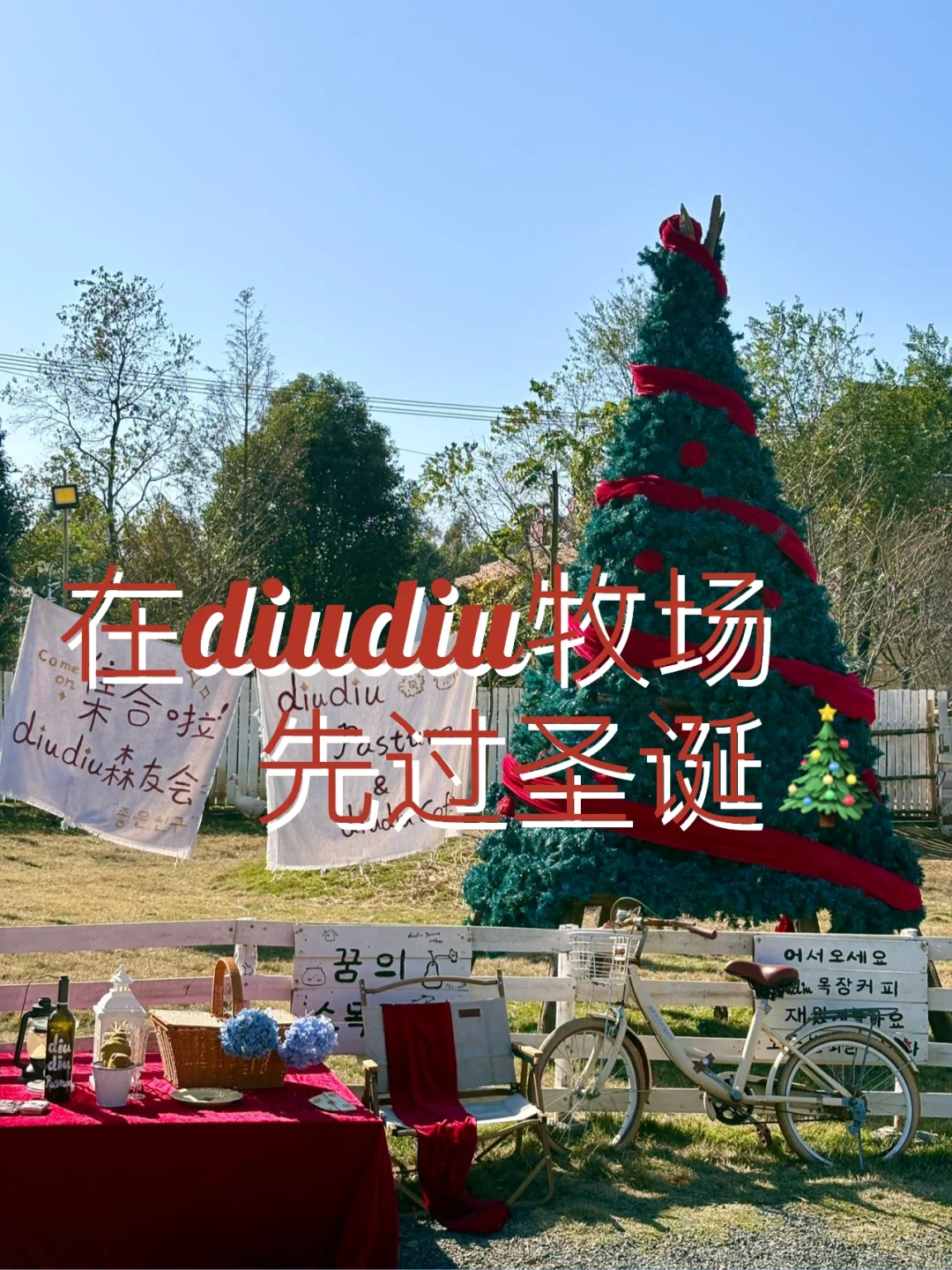 湖州｜太超前‼️diudiu牧场🐾雪景模式全开❄️