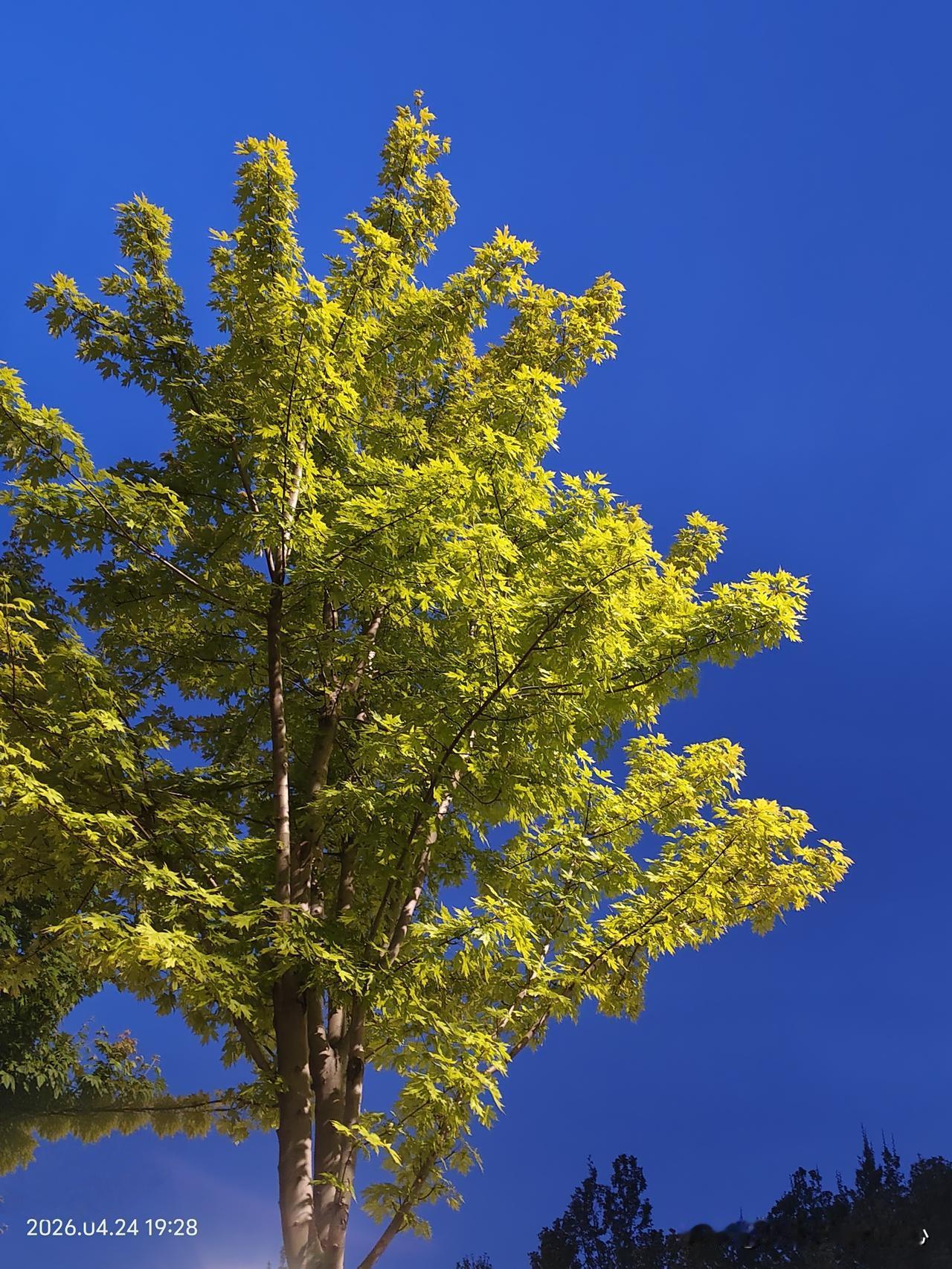 我发现左胳膊发凉的原因了，也许我早就应该加入到老年健身活动里了。
昨天晚上脑袋闷