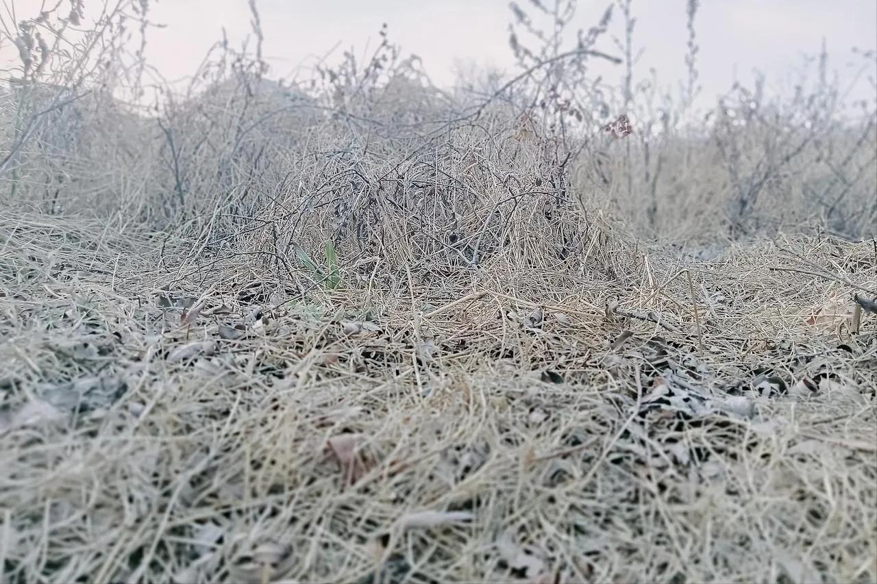 今年冬天最冷18天已确认，具体是什么时间？记得转告家里人！

今年冬天最冷的18
