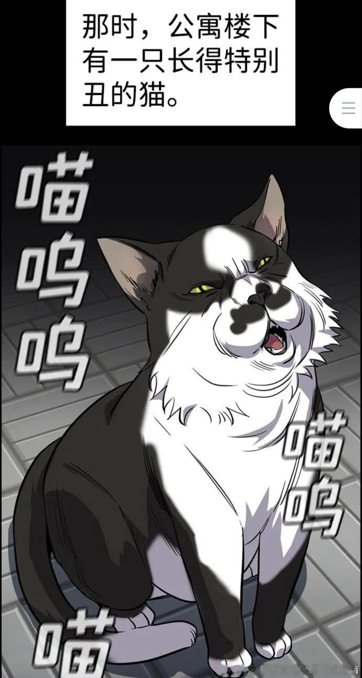 50093【丑猫】宝宝呃...呃...只是有点像大叔了吧喵 