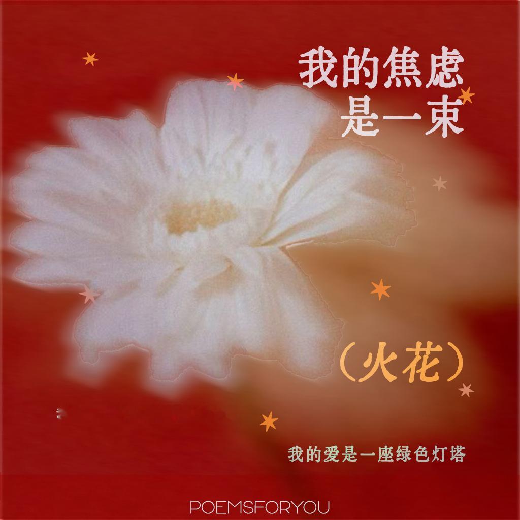 “我是不能被照亮的光室，我的爱是一座绿色灯塔”今夜读阿多尼斯的《我的焦虑是一束火