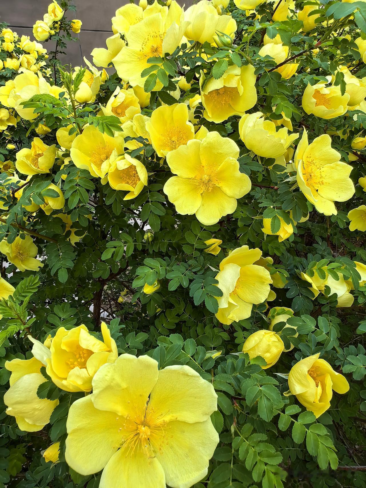 每天分享一句感悟不纠结过往，不忧虑将来，用心珍惜当下，平凡日子也自带温暖光芒。