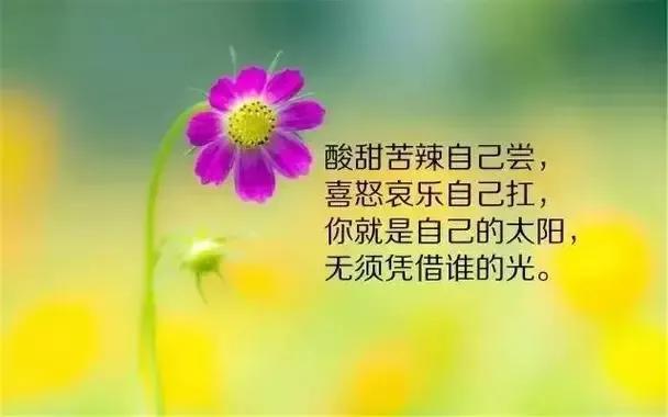 当你已经习惯了失去，说明你的内心真正变强大了。无论在哪个年龄阶段，我们都不得不经