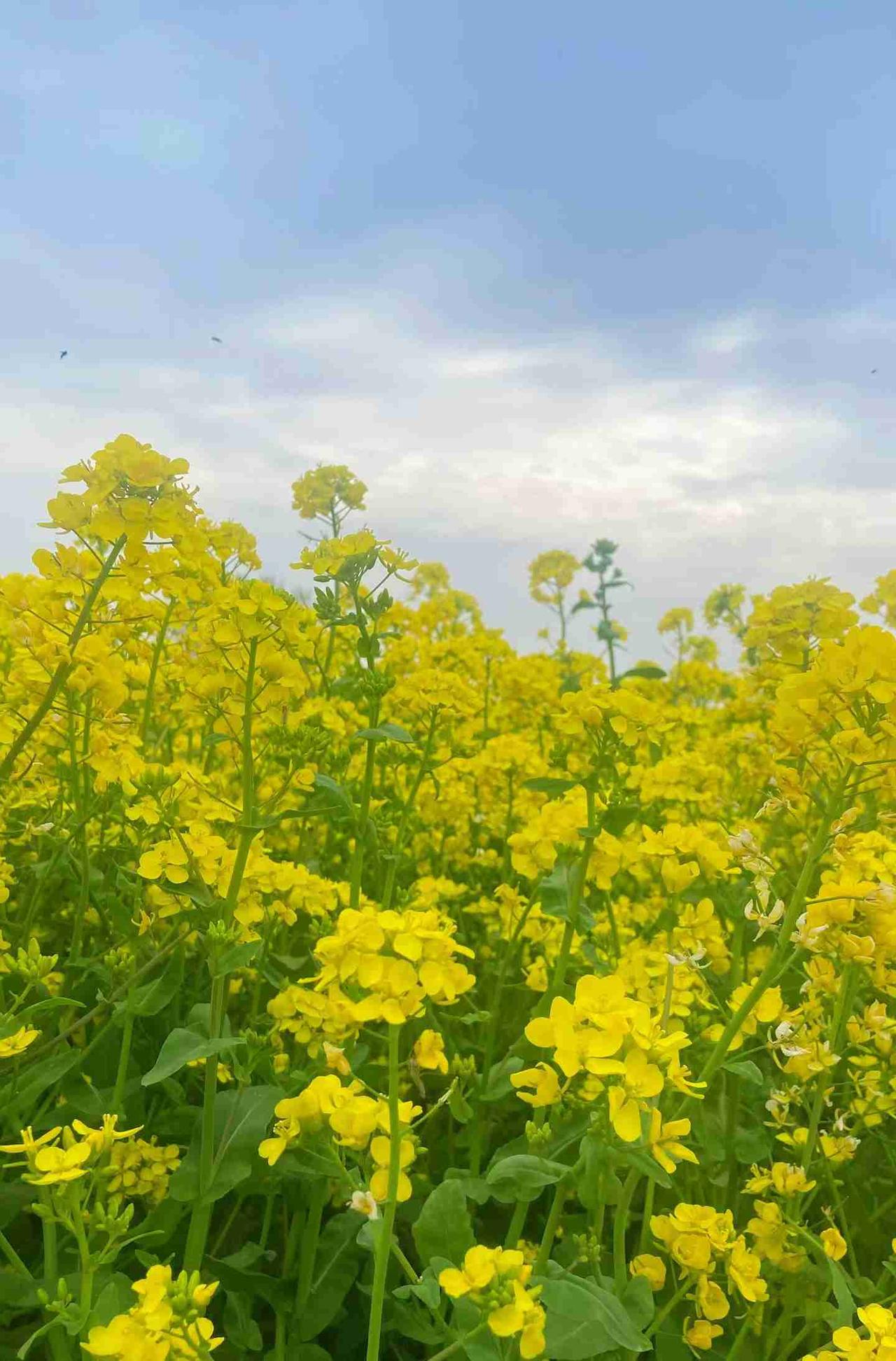 我的今日状态：😁轻松愉快
我这里的天气：☀️晴天