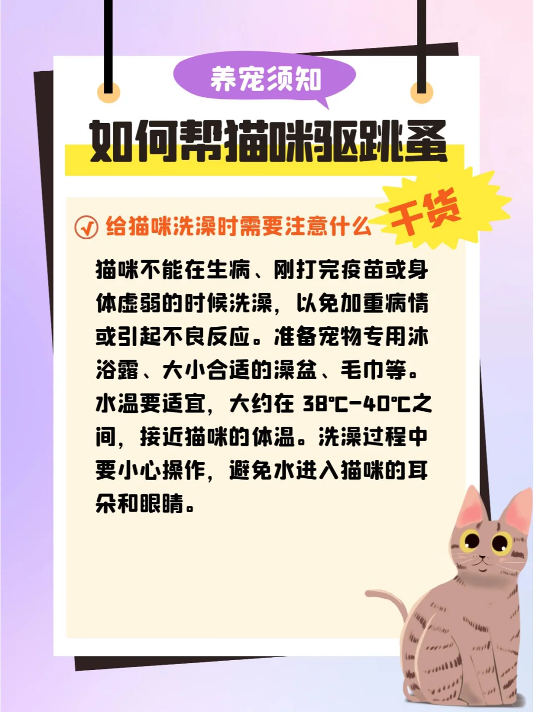 猫咪身上有跳蚤怎么办？