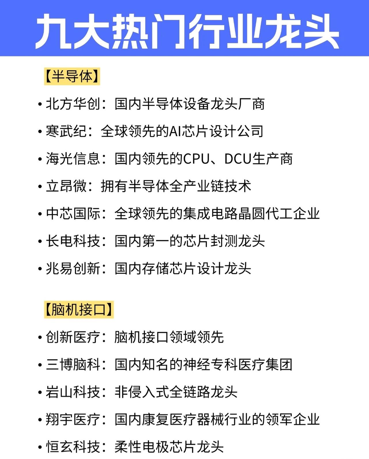 九大热门行业龙头概览

【半导体】

* 北方华创：国内半导体设备领域的绝对龙头