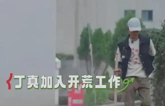 #岛屿少年#丁真在综艺节目中被明星嘉宾欺负，他们当着镜头怂恿他多干活， ​​​