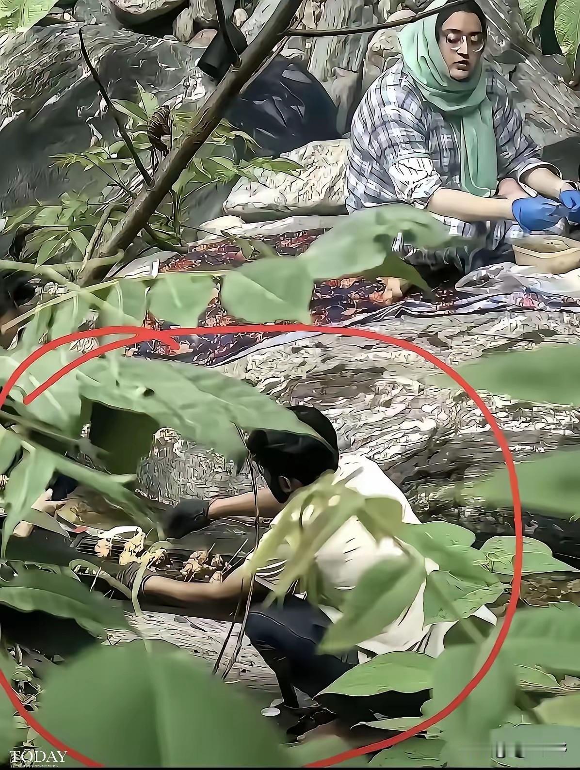秦岭防火区外籍游客烧烤事件后续
人找到了，已经传唤调查，具体处罚结果要等官宣。