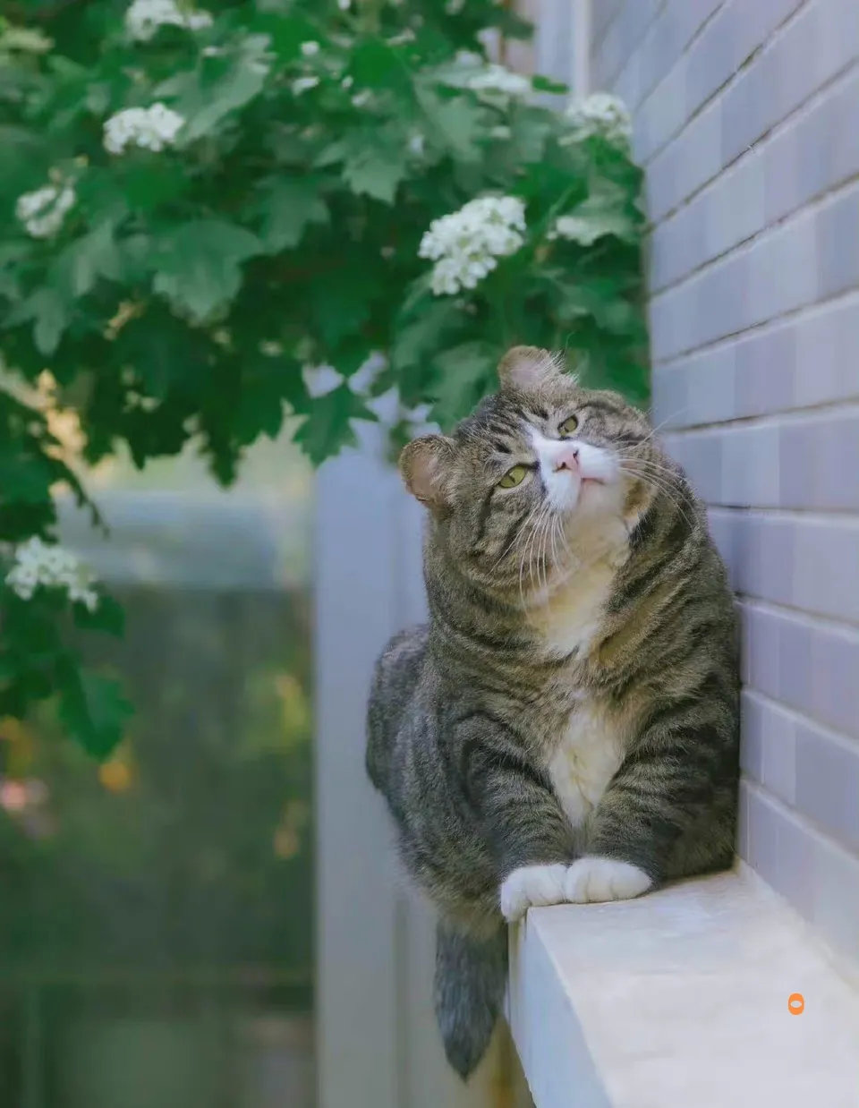 唉今天非常不开心[酷拽]