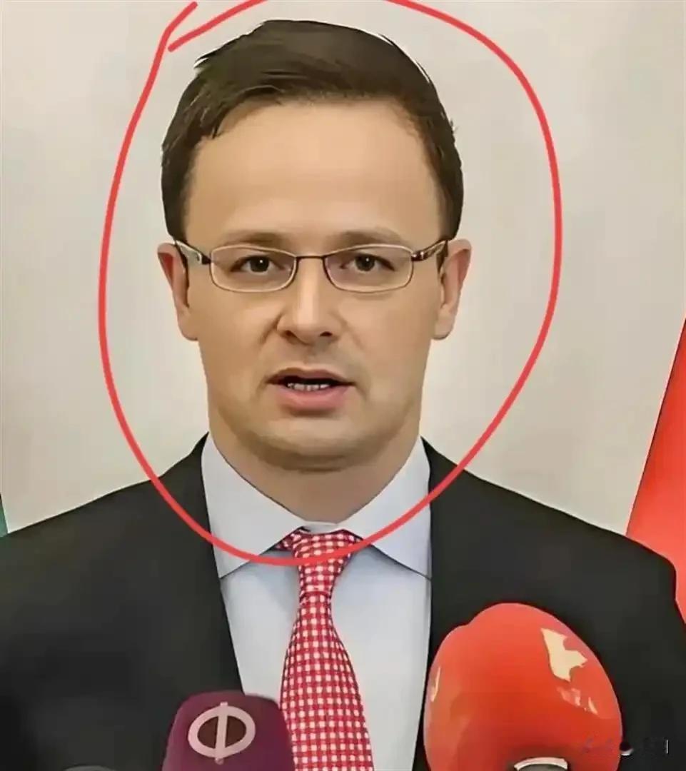 匈牙利外长今天宣布:

2026年2月3日，匈牙利外长西雅尔多正式宣布，匈牙利已