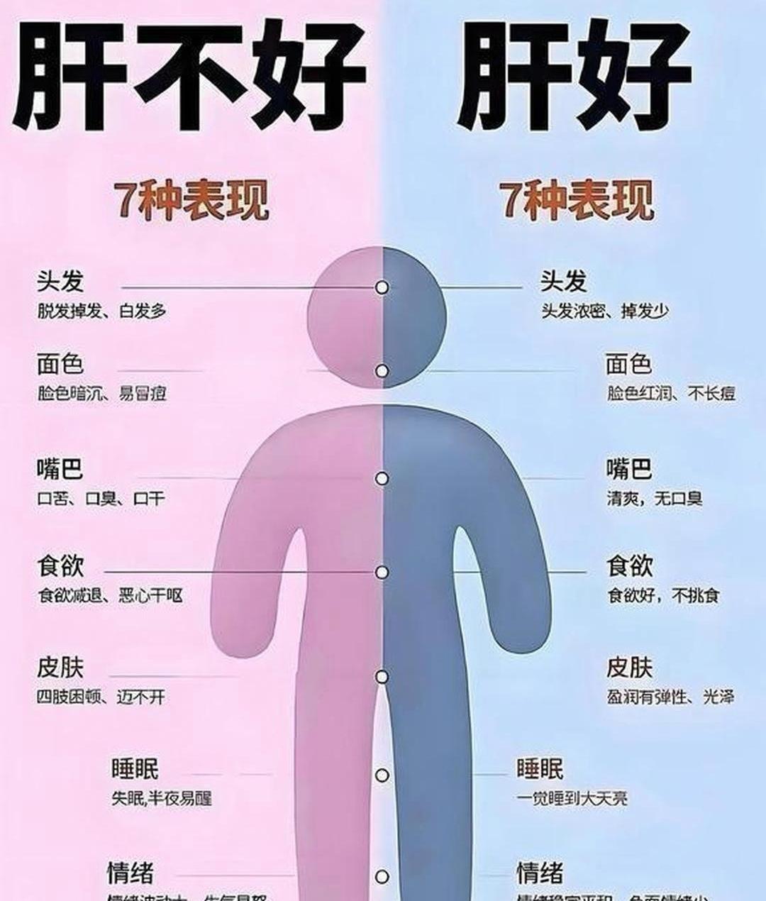 你是不是也这样，明明没怎么熬夜，却总觉得自己“肝不动了”？别急着买补剂，先看看身
