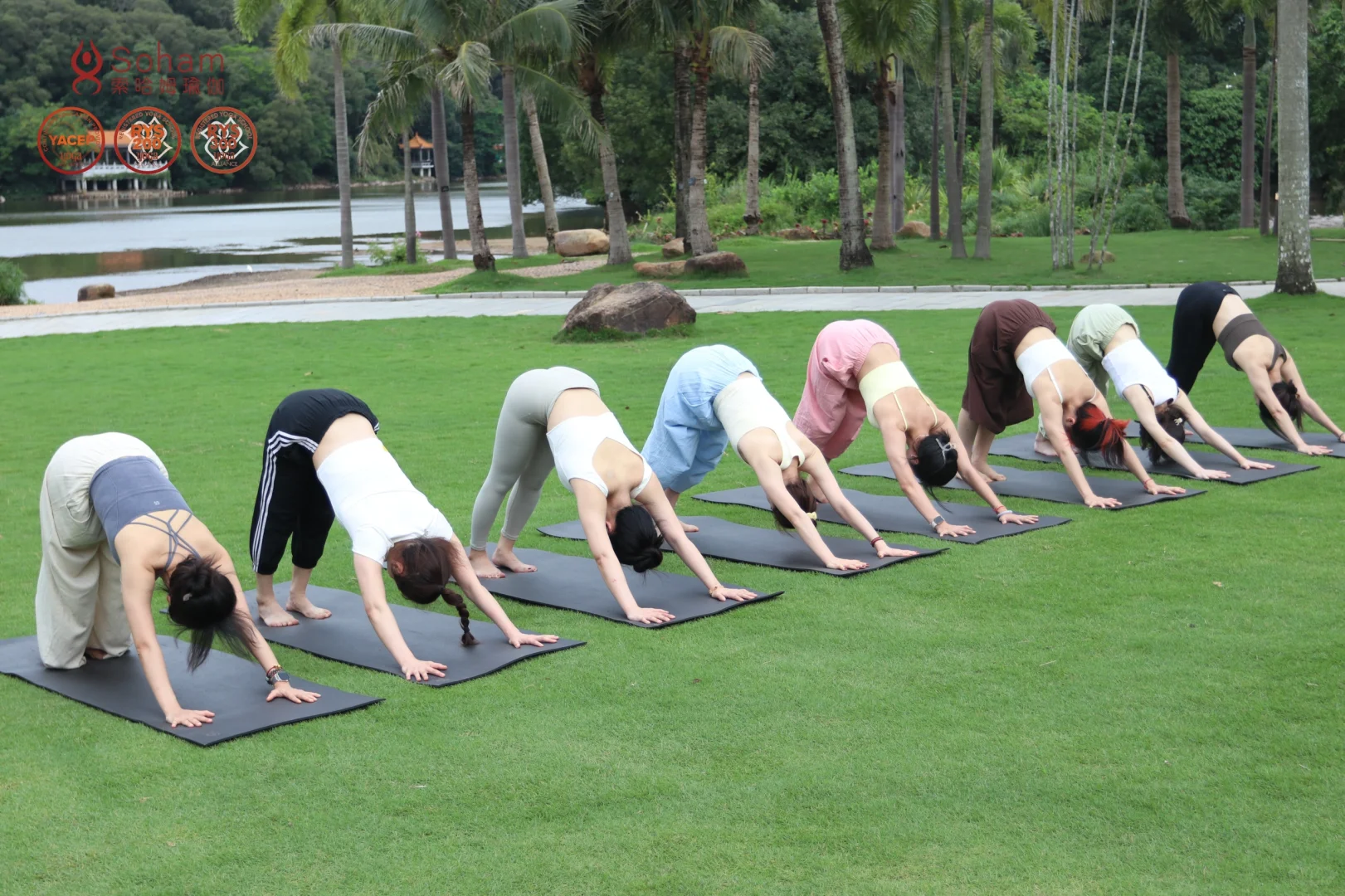 Ashtanga yoga 培训