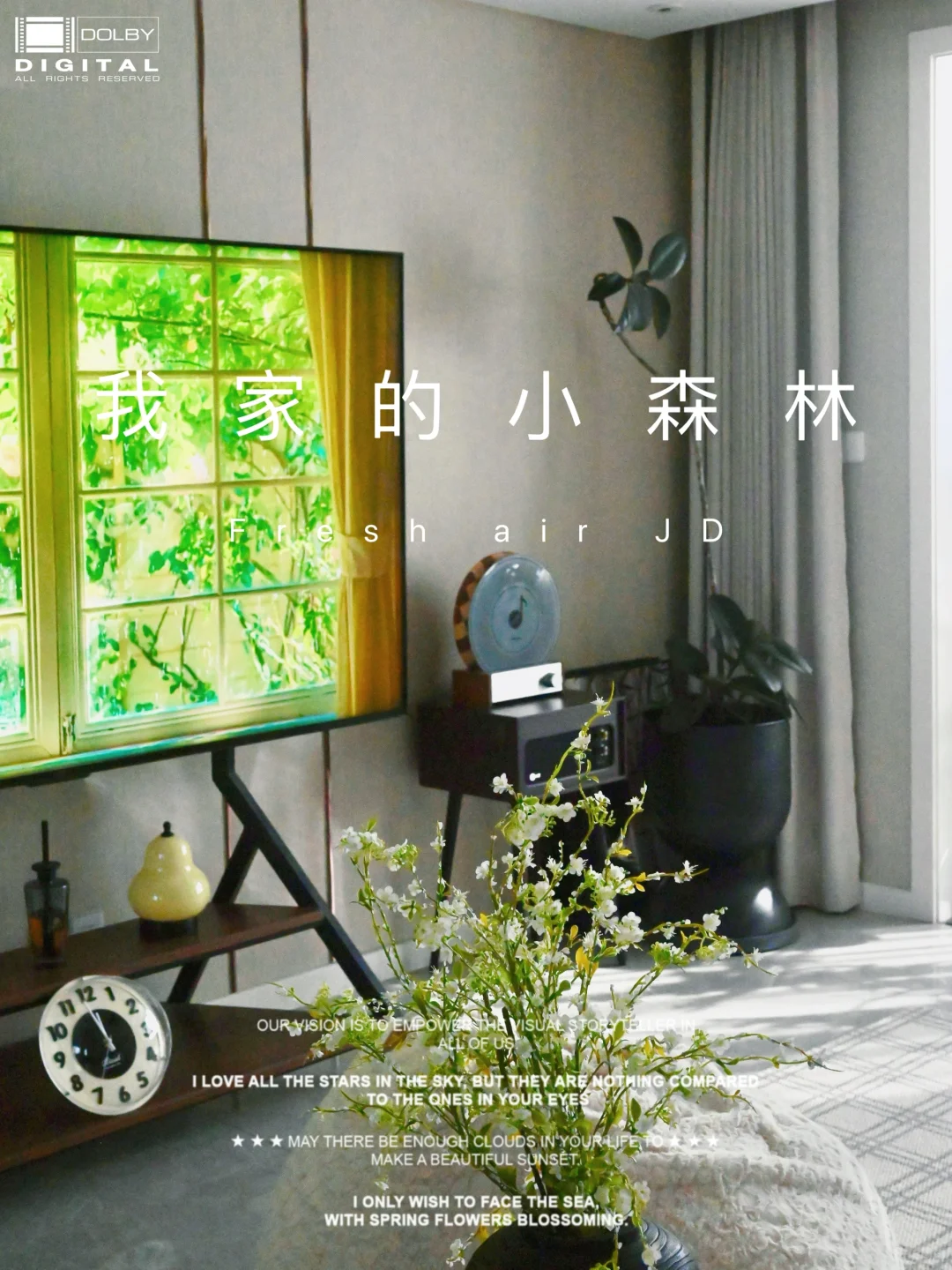 30+单身独居 | 精致由我定义 🌿