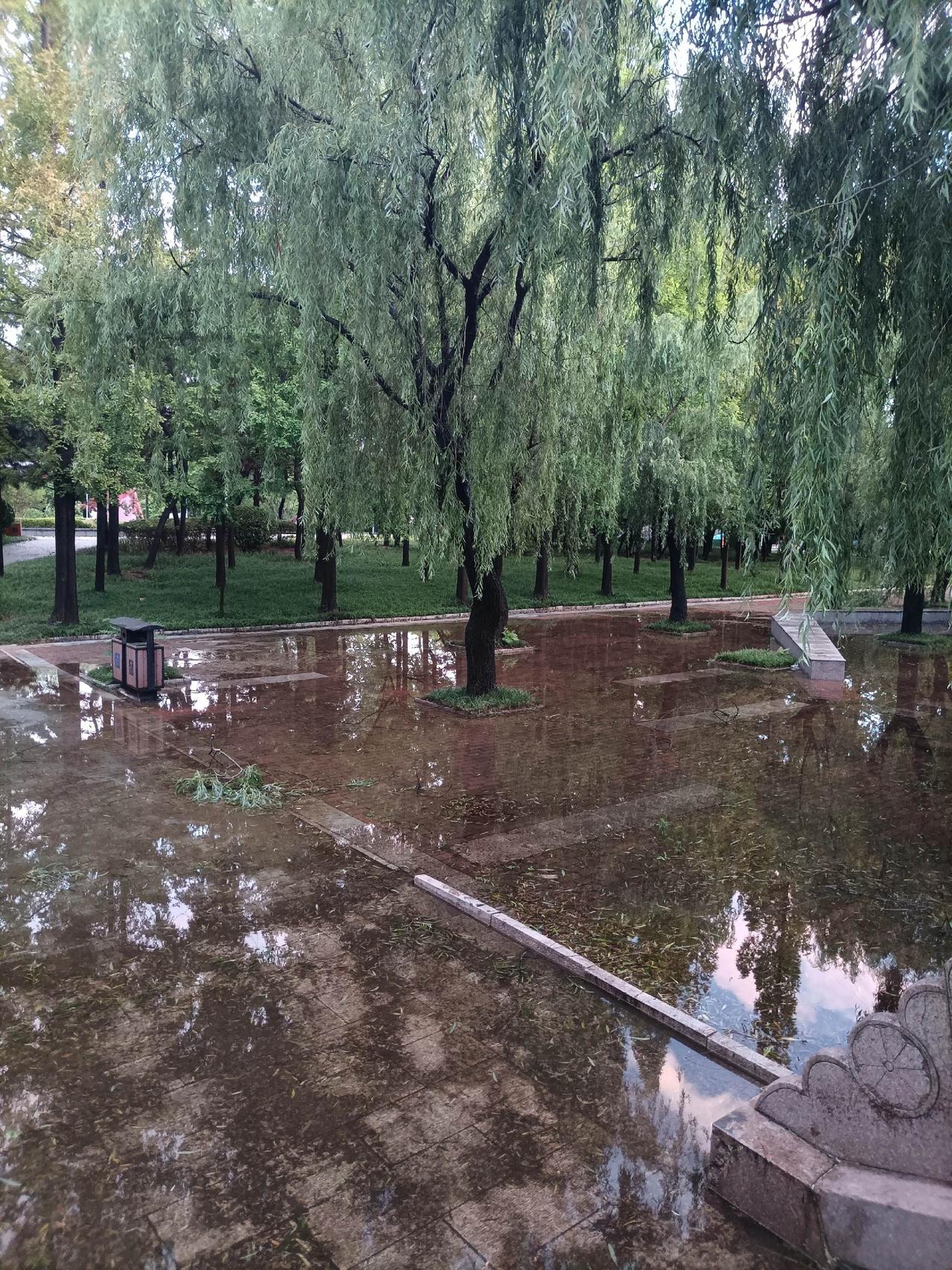 这时候需要贺涵来送伞大雨还在下 子君和贺涵