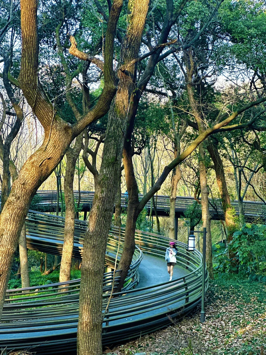 吐血整理😭杭州一日游游玩攻略，精华版‼️