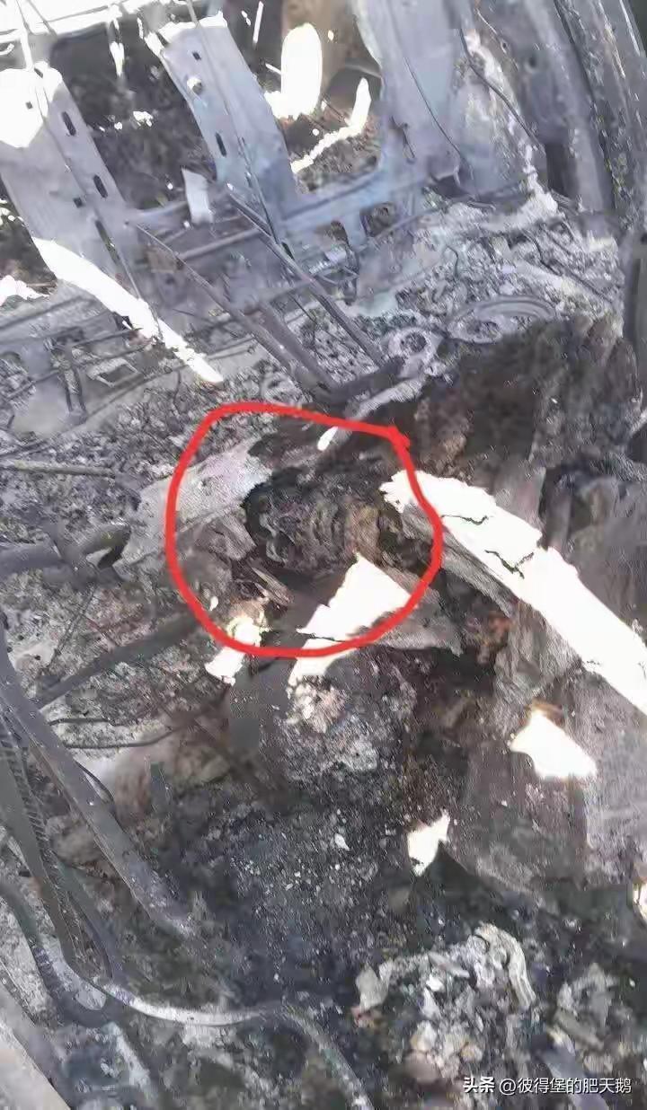 美军机里面这是啥？烤熟的糖霜苹果？

川普说飞行员都救回去了

那么反证，没救的