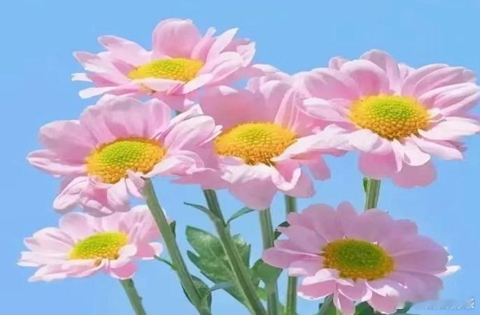 伤了和气你拿什么收复彼此的感情情感伤了和气，我们可以用真诚的道歉和行动来收复彼此