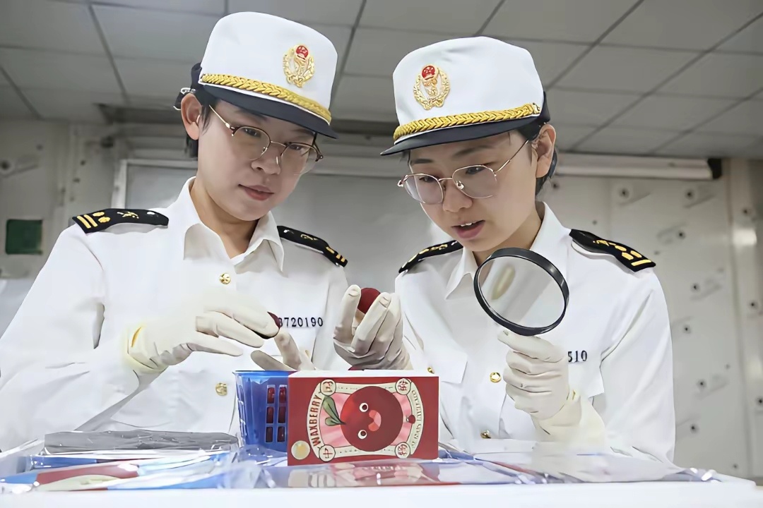 漳州海关对出口荷兰的杨梅进行现场检验。 