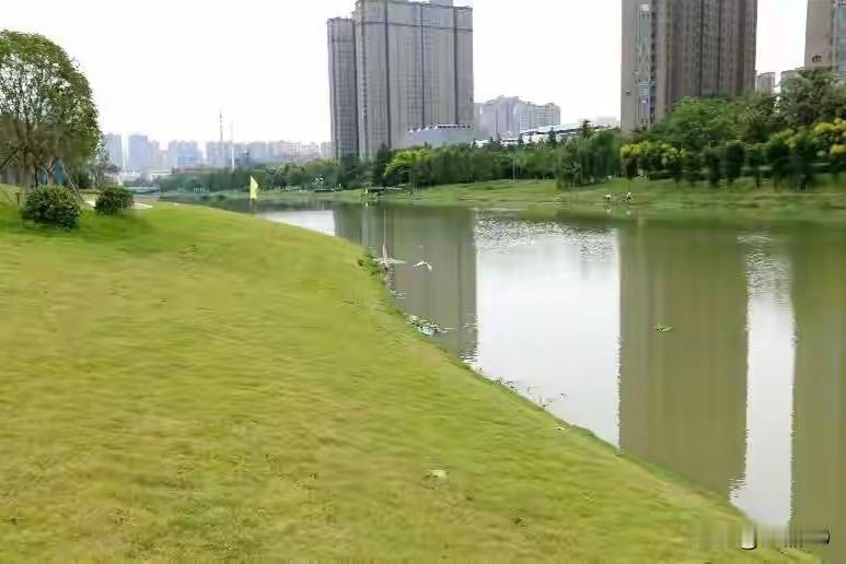 家乡小城财政部门有困惑，智囊团队切入！

团队近期接到一个项目，来自家乡小城财政