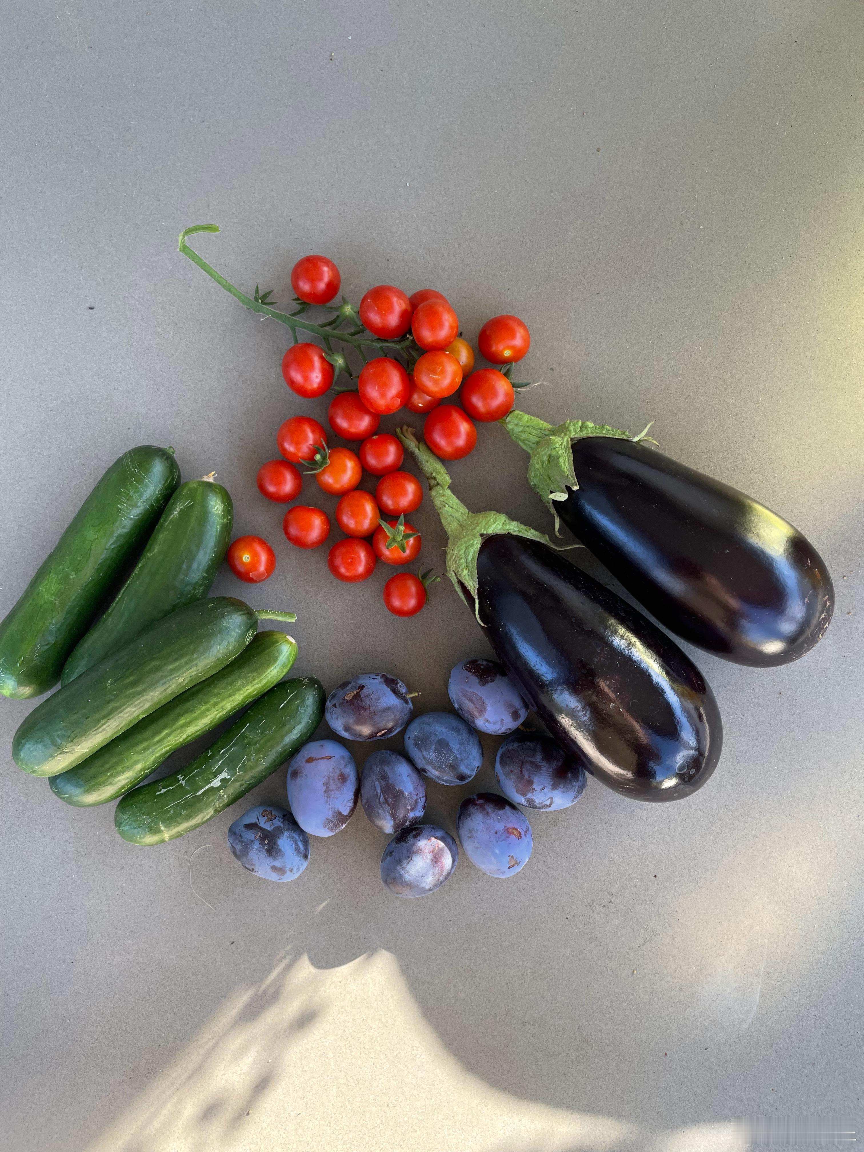 今日采摘你们说这个茄子🍆，做个什么菜比较好？ 