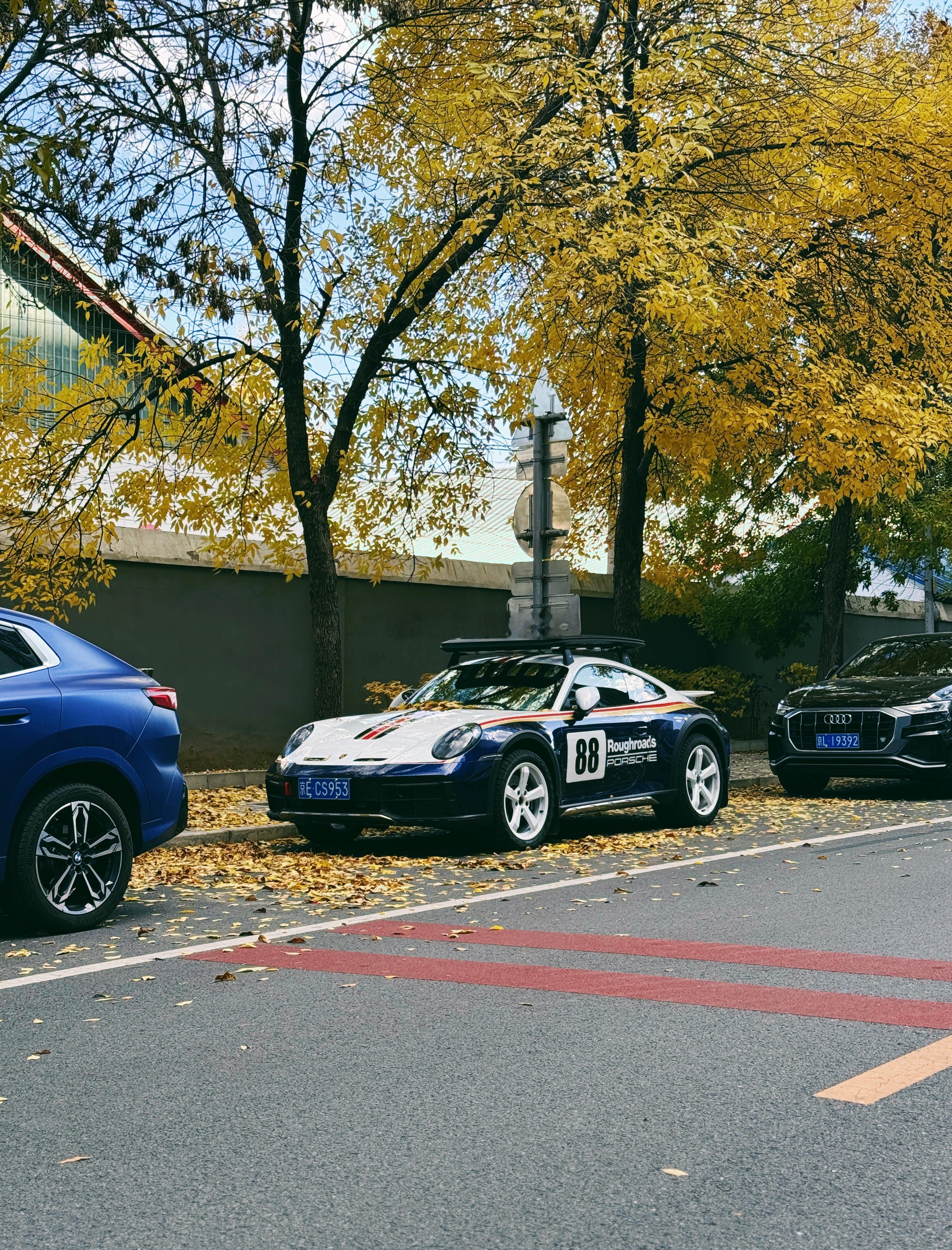 早[太阳]梦想家ALI秋天  ​​​