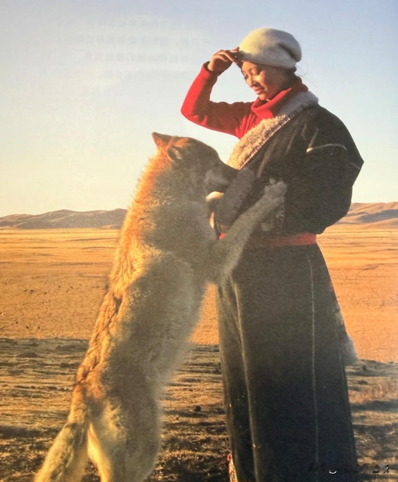 《重返狼群》重映？
我就不去凑热闹了。
没别的原因，就是觉得格林这一生被消费得够