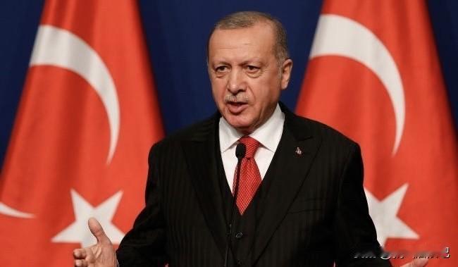 土耳其总统埃尔多安表示，参加了由法国、德国和英国共同发起的志愿者同盟会议，土耳其