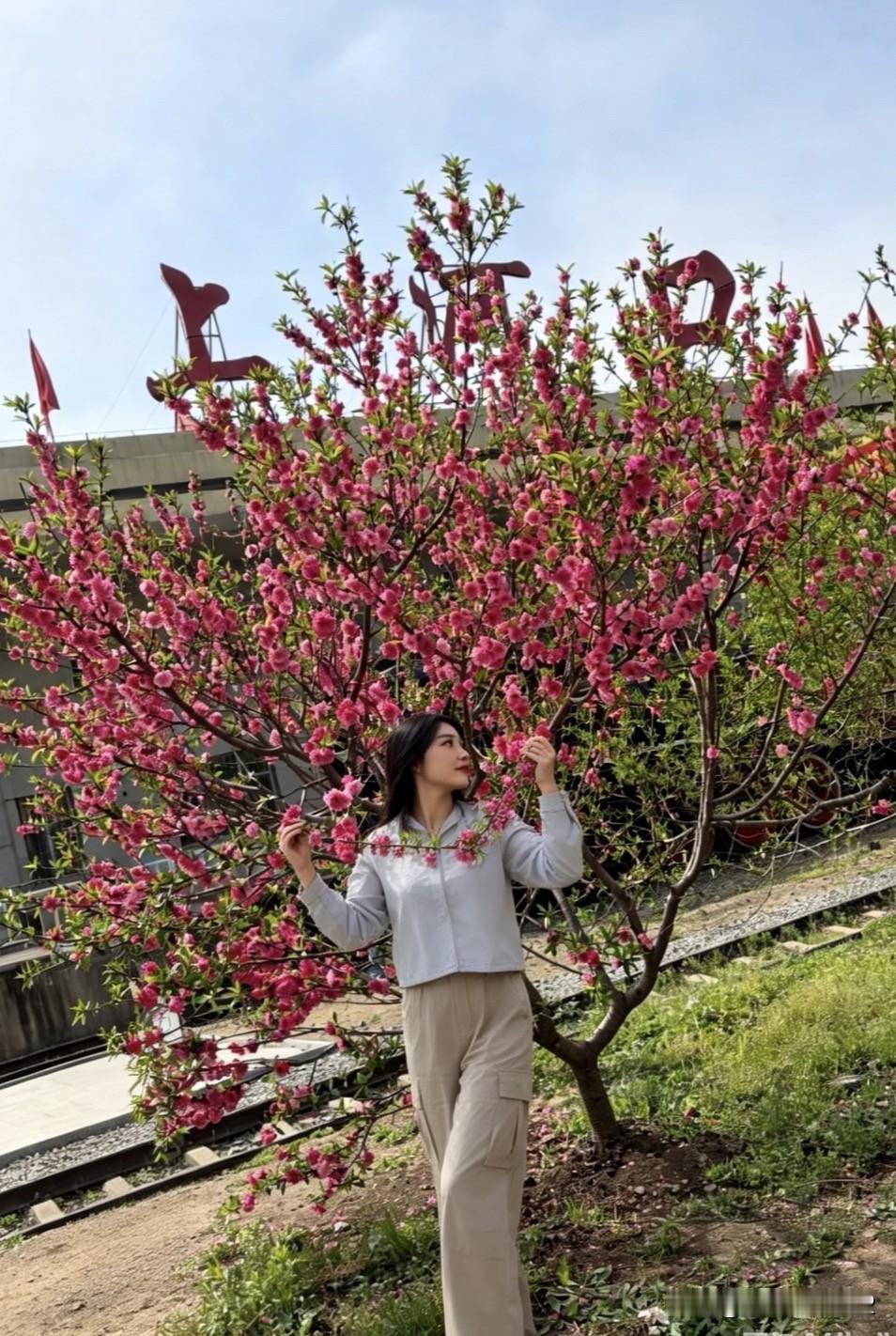 《闲吟》
假日闲暇赏桃花
粉红迷人都爱它
欲折几枝带回家
又怕惊扰主人骂