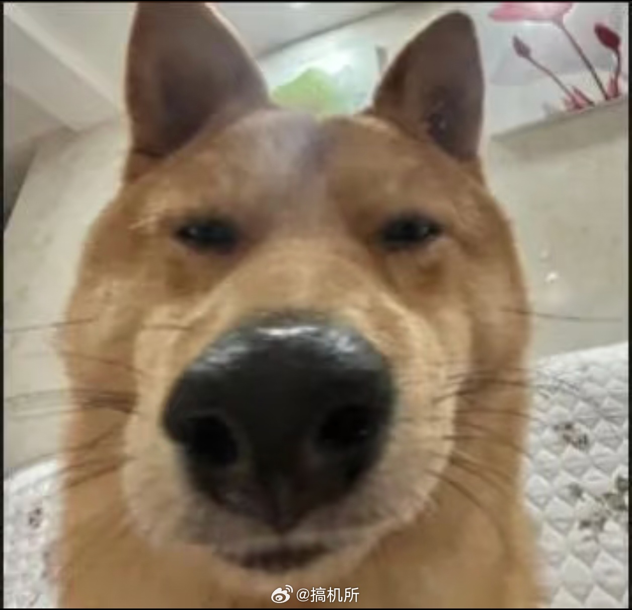 长期不换社交头像的人主要还是懒得换，而且也没有特别喜欢的头像。现在换头像，就好像