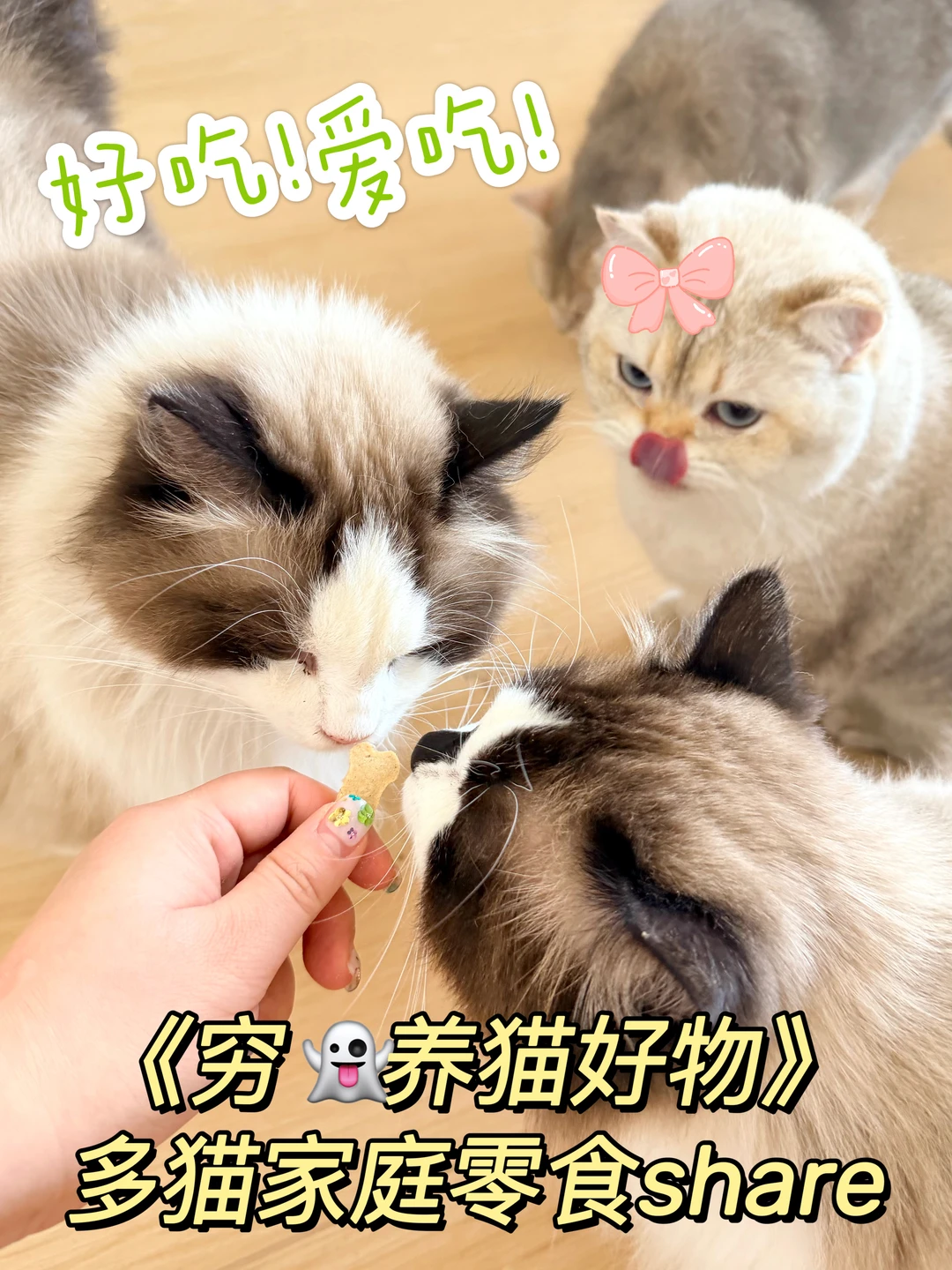 无广！最近拼DD买到的平价养猫零食！