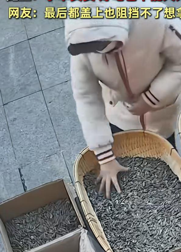 大妈顺手抓瓜子
反复多次算不算偷？

寒冬里，让小商贩更加心寒的视频让网友们愤怒
