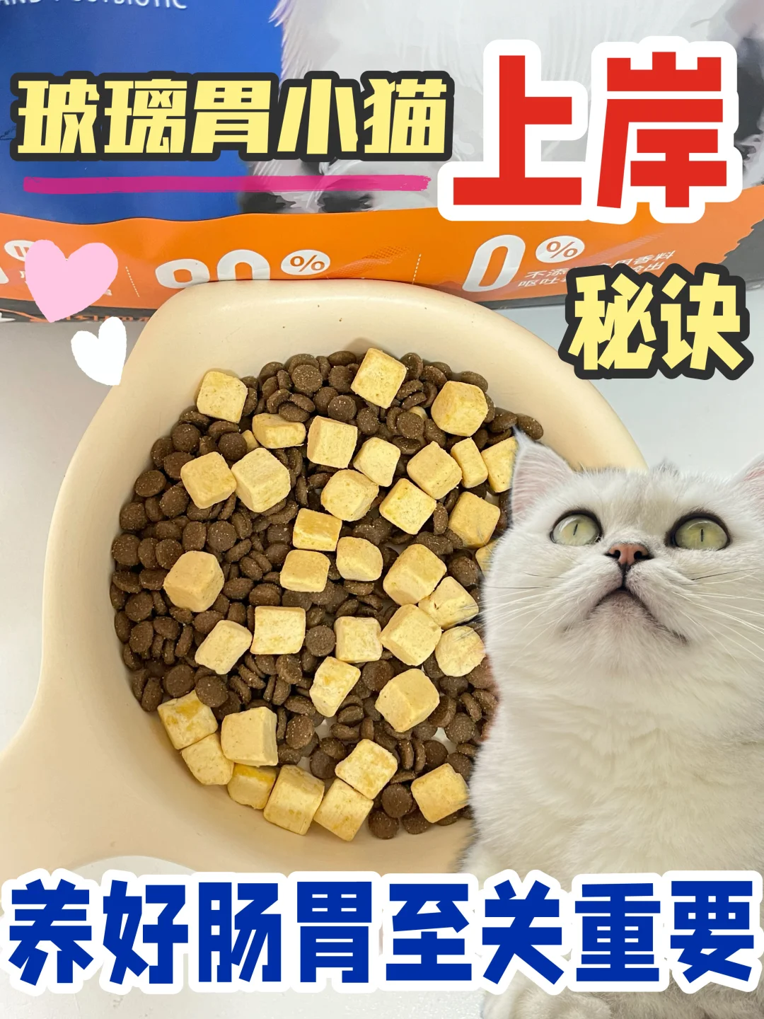 这猫粮真能处‼️玻璃胃爆改钢铁胃！