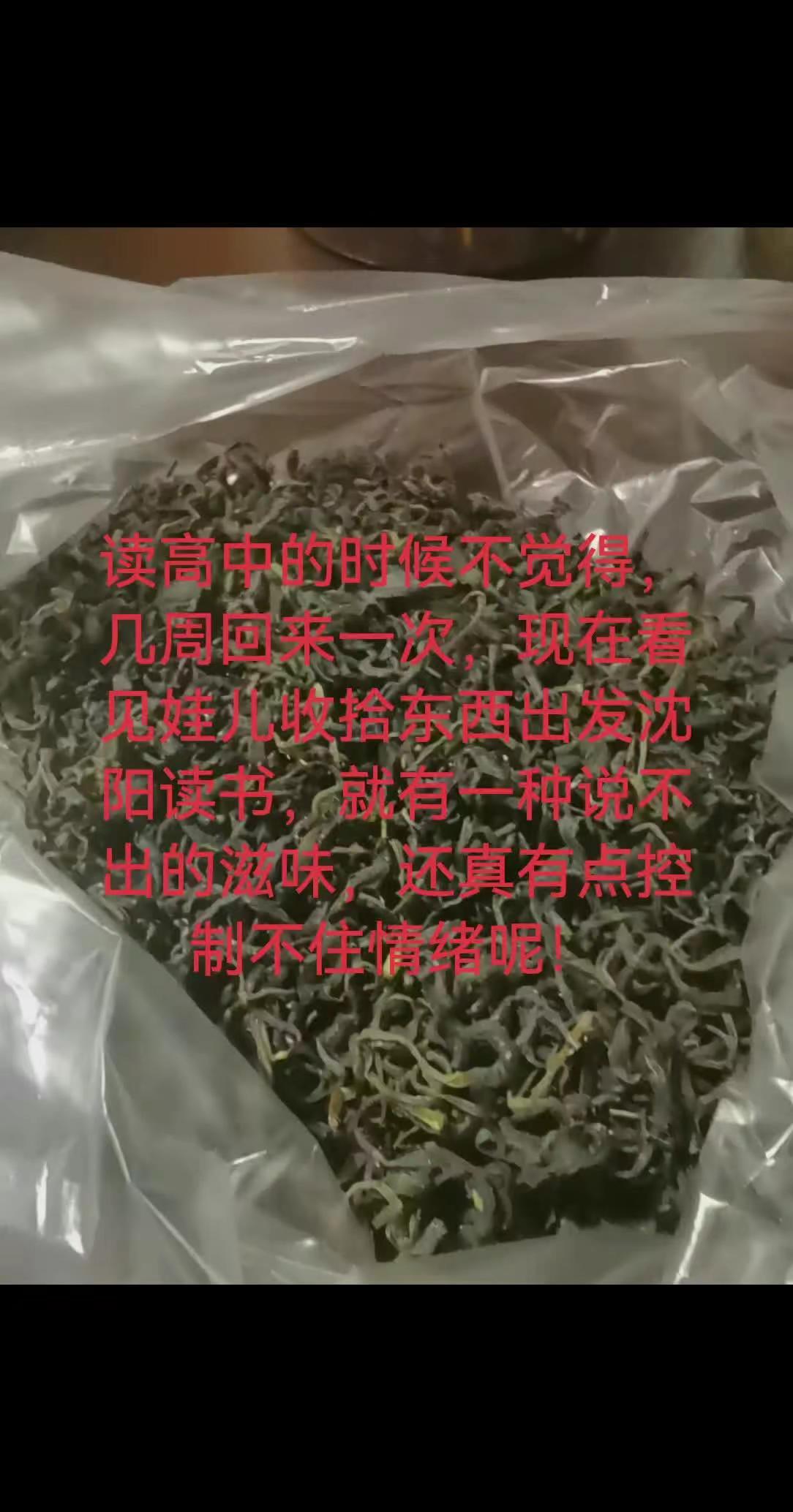 娃儿呀！你读高中的时候不觉得，现在看见你收拾东西出发沈阳读书，就有一种说不出的…