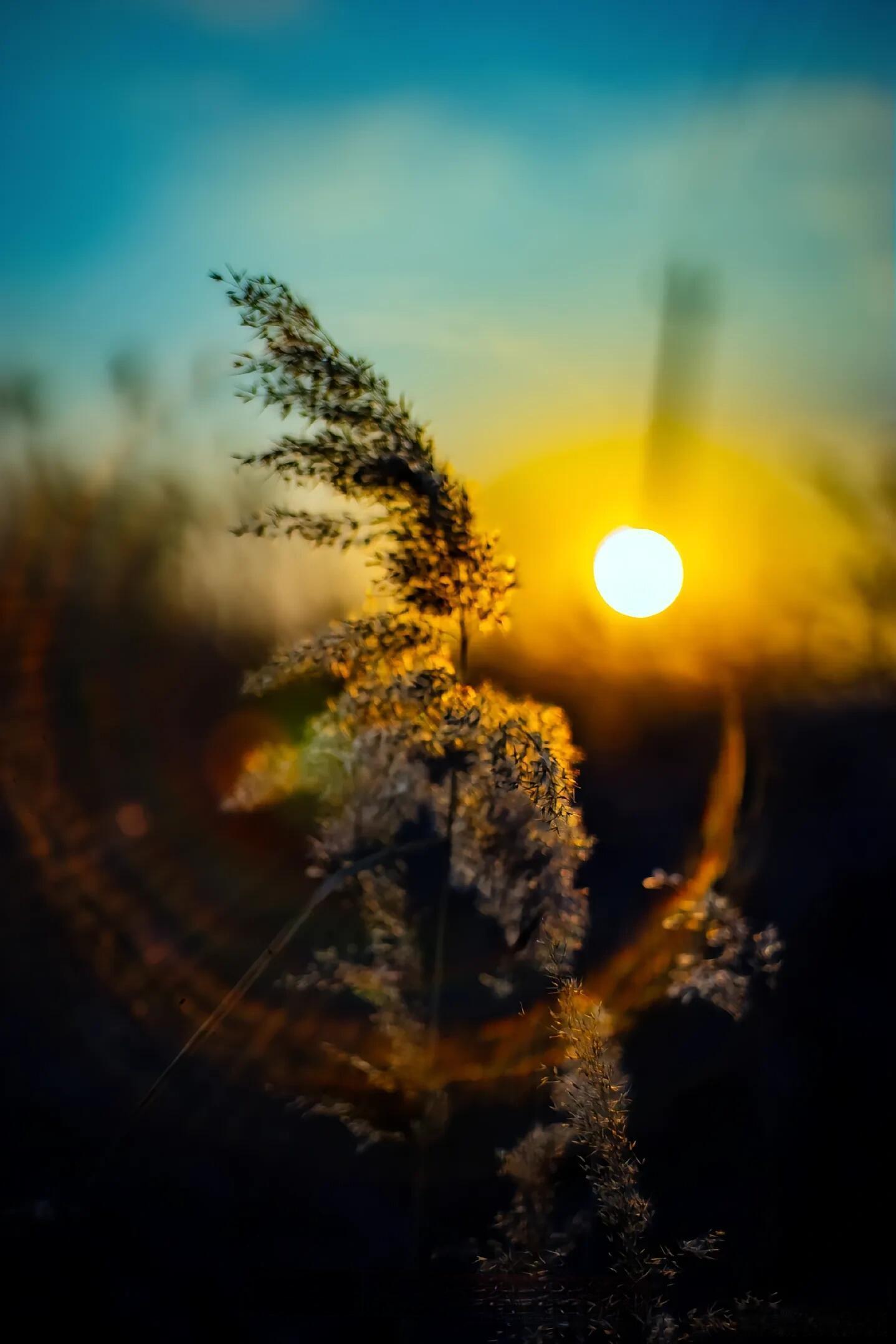 跟逃避型男人过日子，真的太累了。你付出再多也没用。一遇到问题他就躲。碰上困难就往