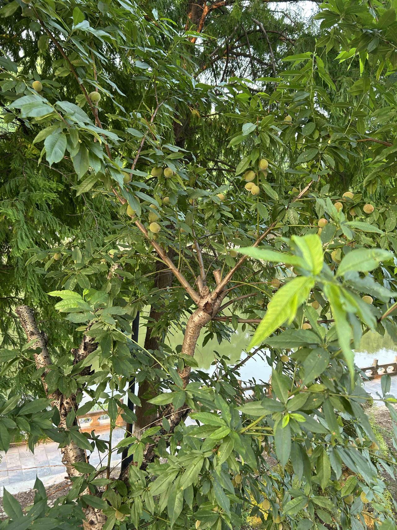 高考不是终点，而是新征程的起点。
愿你们合上笔盖的刹那，有着侠客收剑入鞘般的骄傲