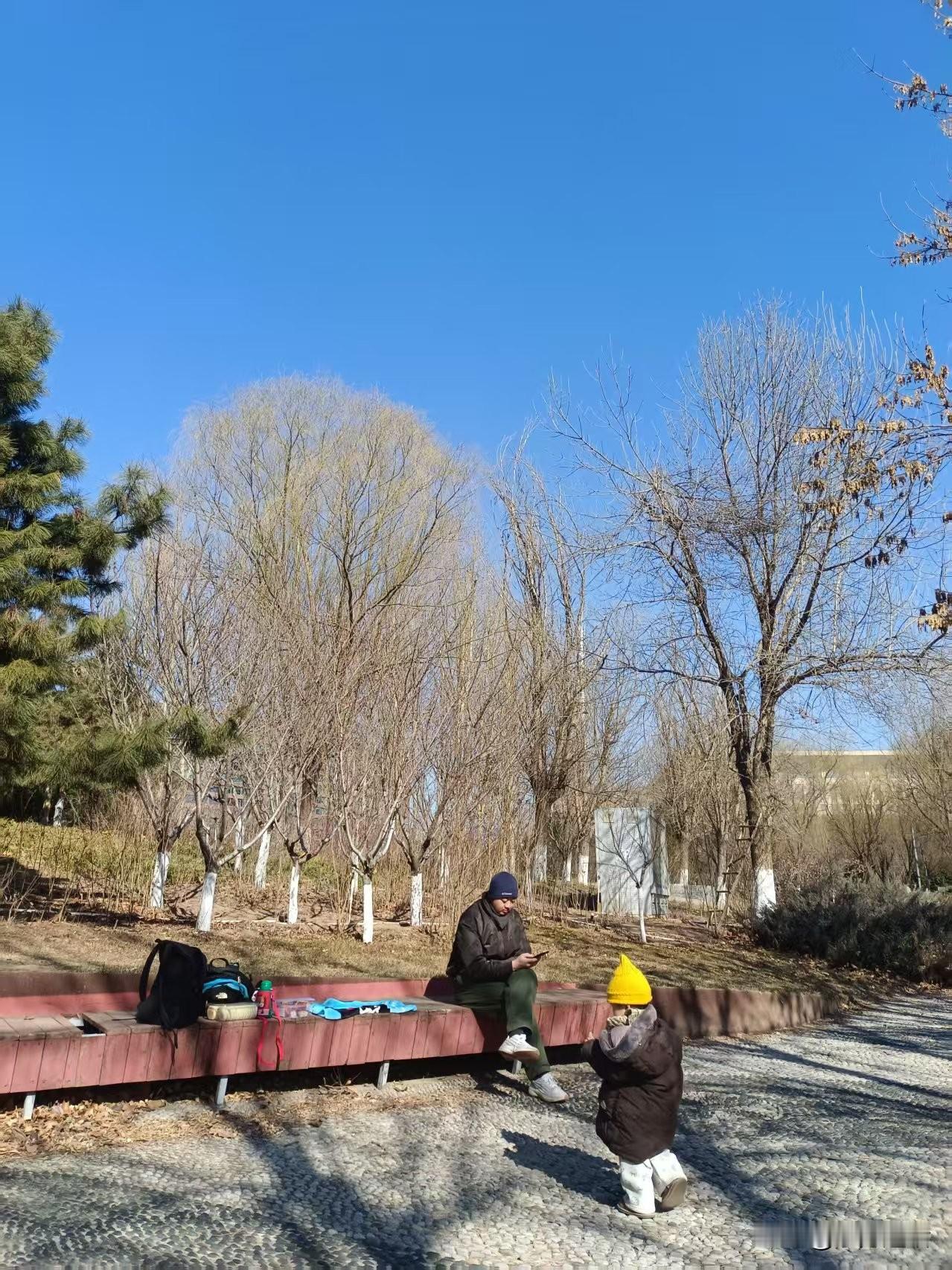  梁东方
带着婴儿去图书馆。
不用抱，不用领，她兴奋地在宽大自由的阅览室里自主行