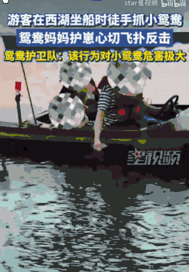 “这种人就应该拉黑！”浙江，一名游客在船上，光天化日之下，竟然伸手把一只还没长全