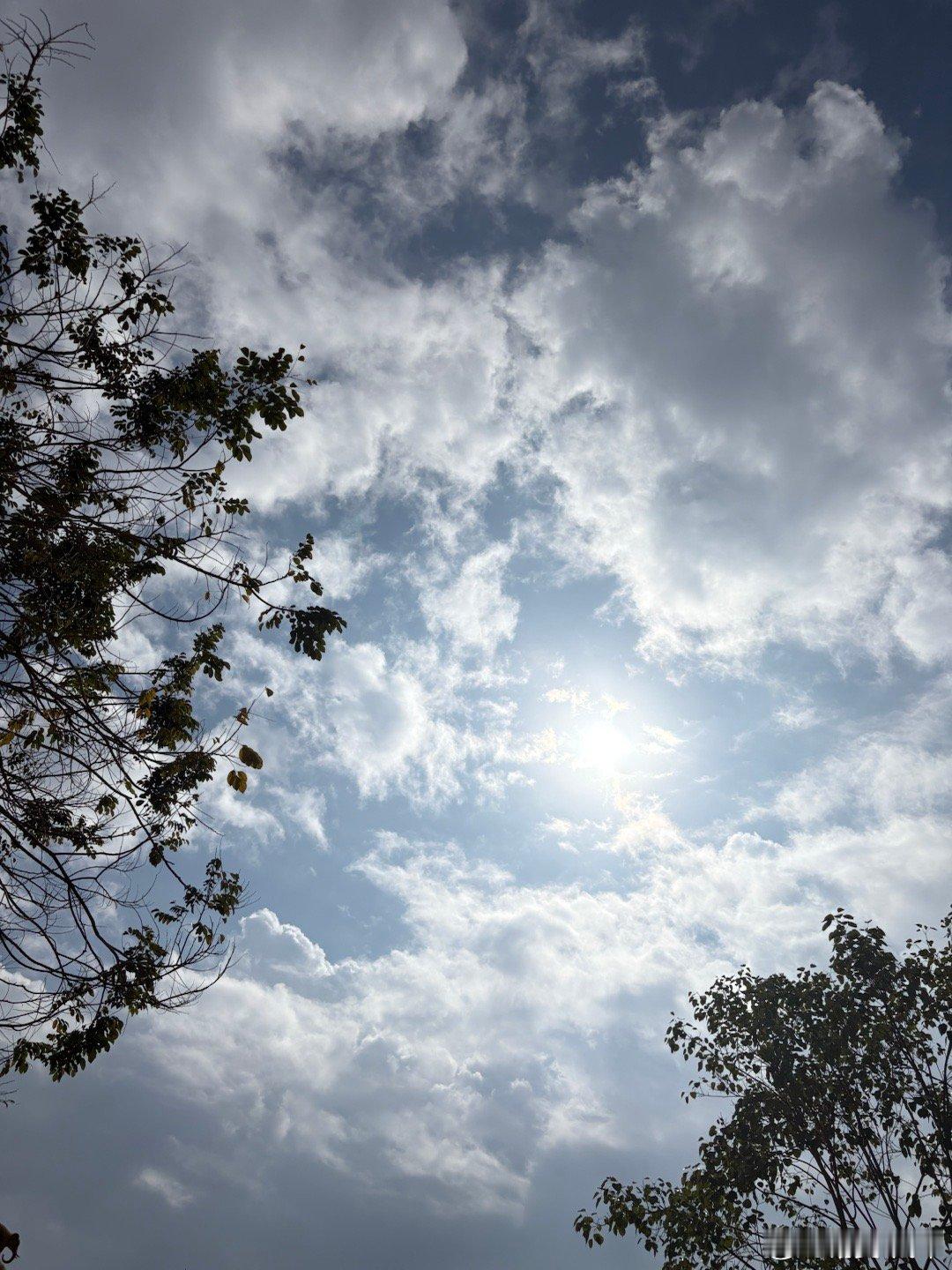 机遇只偏爱有准备的头脑；当机遇来临时，不知道你是否准备好？ 
