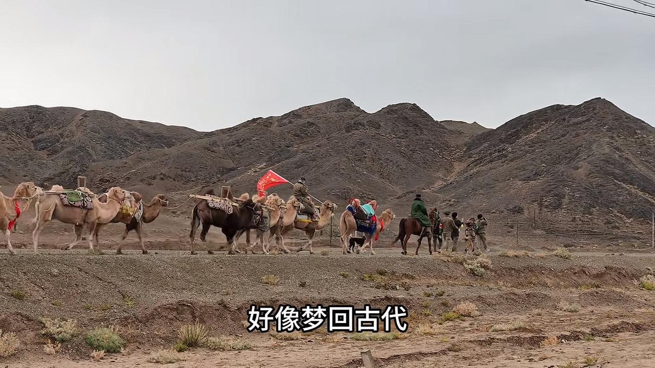 徐云社恐下的遗憾：没能好好融入神秘的驼队，没能深入交流，其实这支驼队身上藏着不少