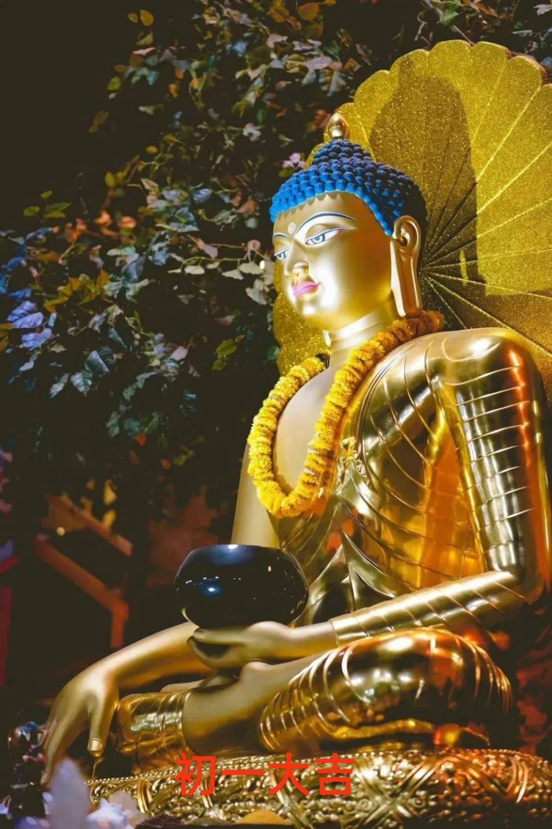 今天是甲辰年六月初一朔旦日
今天是一个非常重要的日子，愿信众发善心行善念；
今天