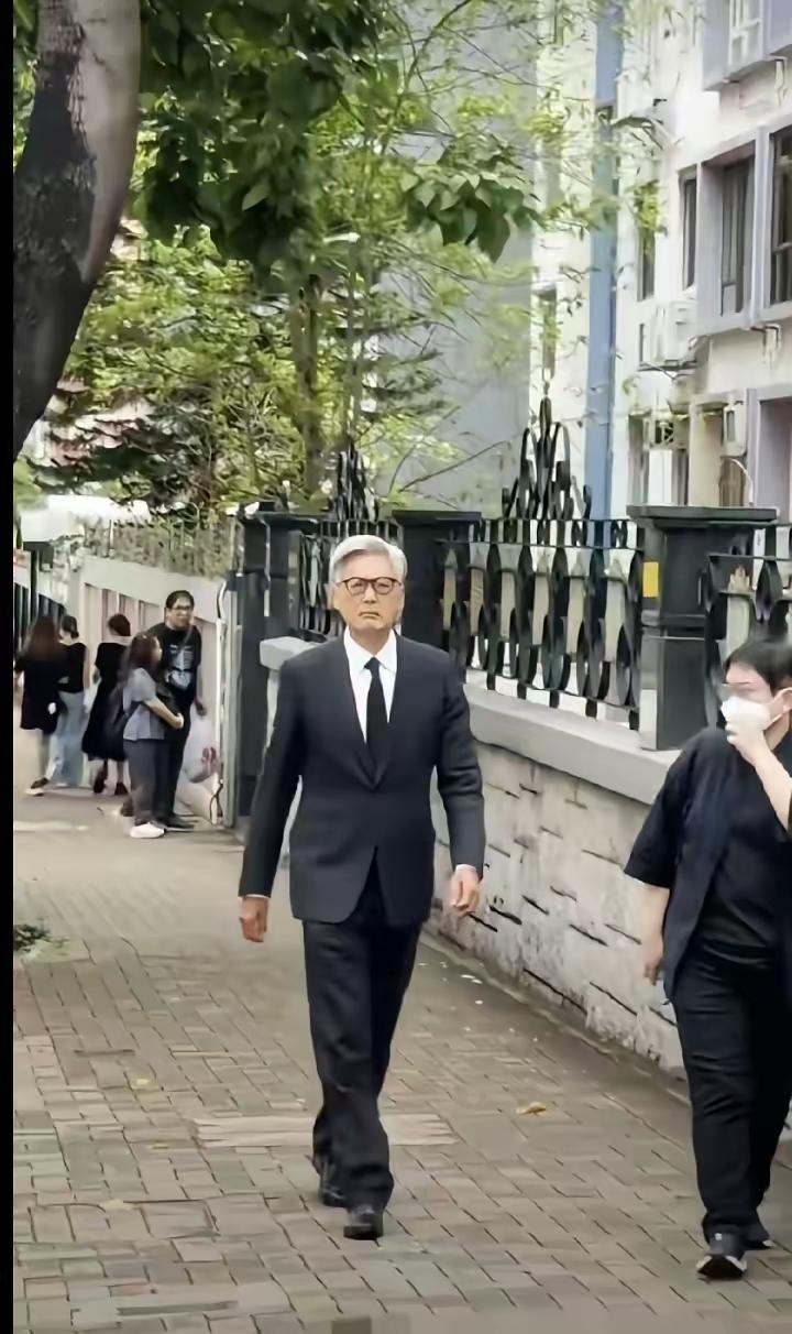 这位满头白发人，我一下子没看出来是谁啊。我就问豆包，豆包说是刘德华。我再一看，觉