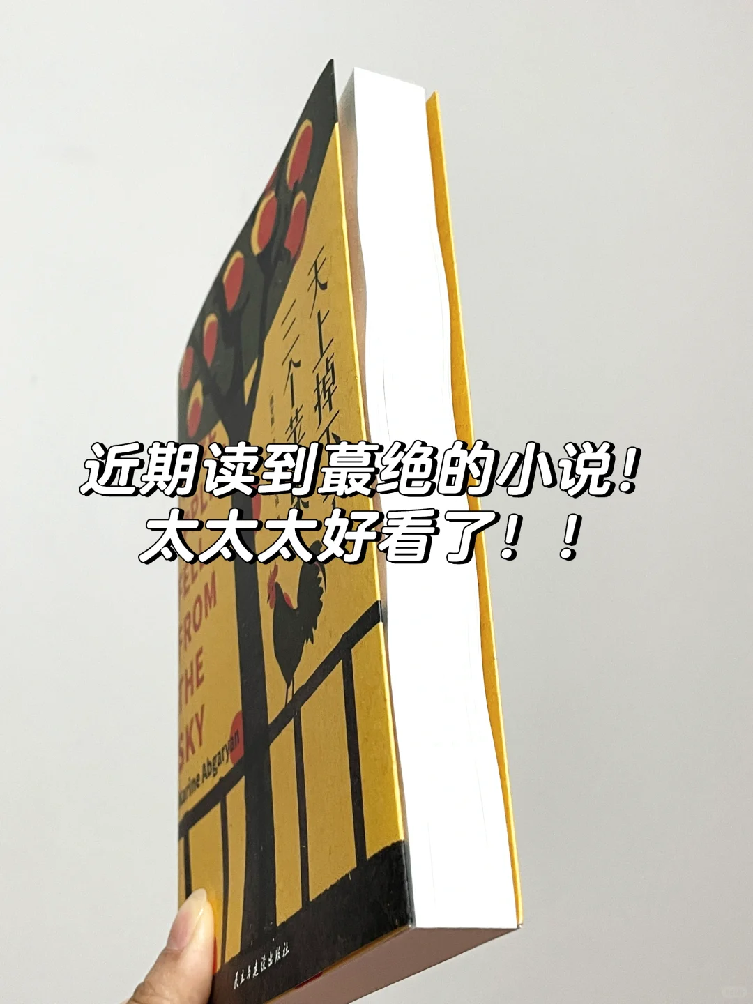 豆瓣9.0分！这本小说太太太好看了！！