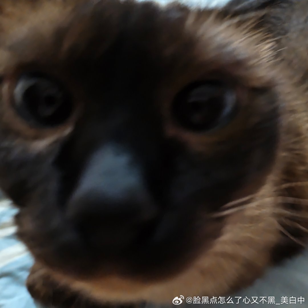 早安逼罗