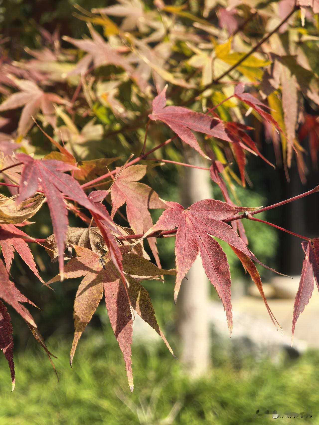 未来酒店数字资产的玩法，就是把酒店原本看得见摸得着的实体资产或经营权益，通过区块