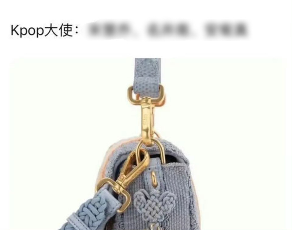 Fendi 中国结  哎怎么就偷了哇🙊果然一旦沾染上泡菜国准没好事[委屈]甚至